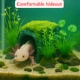 thumbnail image 4 of ABEL CRAFTS Axolotl Tank Décor Large Hideout Aquatic Habitat Aquarium Plant Decoration Bundle, with Accessories Included, Clear, 4 Count, 4 of 7