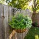 thumbnail image 4 of Hrobek Plantas artificiales para exterior, 12 ramos, resistentes a los rayos UV, 4 of 7