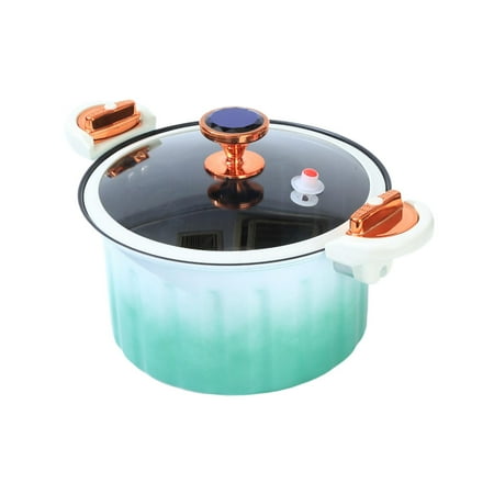 Rongfmy Pressure Cooker Easy Clean Stainless Steel 10L with Handle Pressure Stew Pot Green Walmart