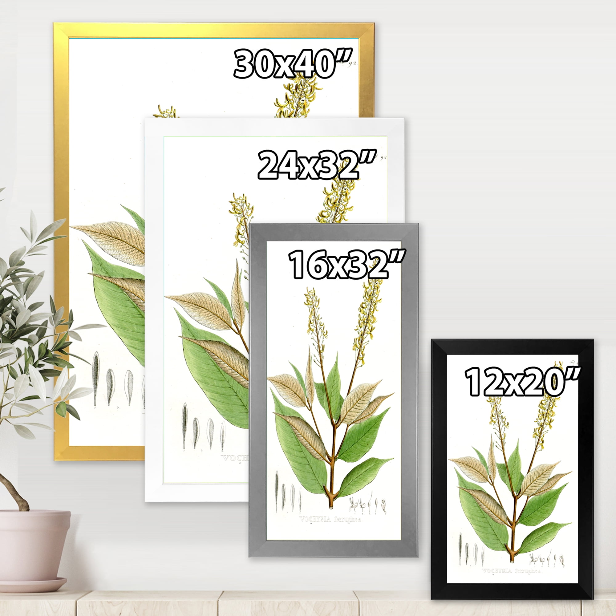 Designart 'Ancient Brazilian Plant V' Traditional Framed Art Print