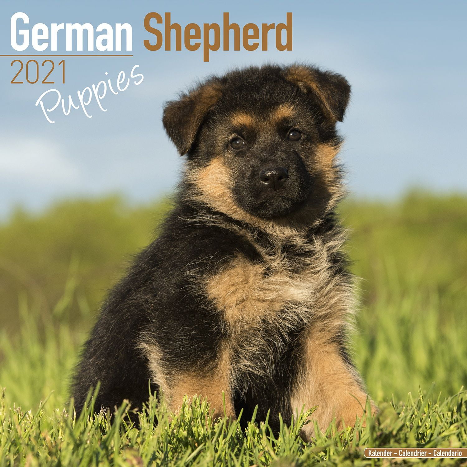 German Shepherd Puppies Calendar 2021 