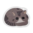 thumbnail image 1 of Cartoon Dish Cloth Compressed Sponge Wipe Dishwashing Sponges Rag For Home Kitchen Pot Dishes Bowls Kitchen Dish Towel Set Microfiber Washcloths for Cleaning Winter Towel Kitchen Cleaning Reusable, 1 of 2