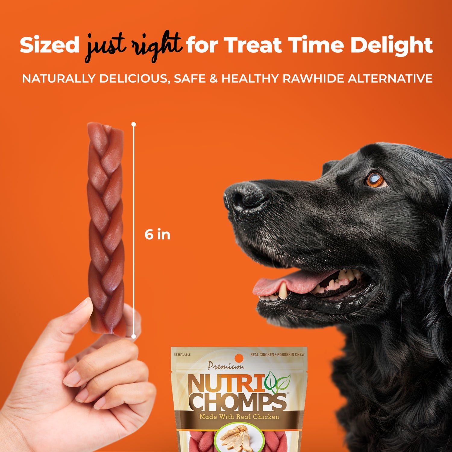 Nutri Chomps Premium Rawhide-Free Braided Dog Chews, Real Chicken, 6 Inch, 4 Count