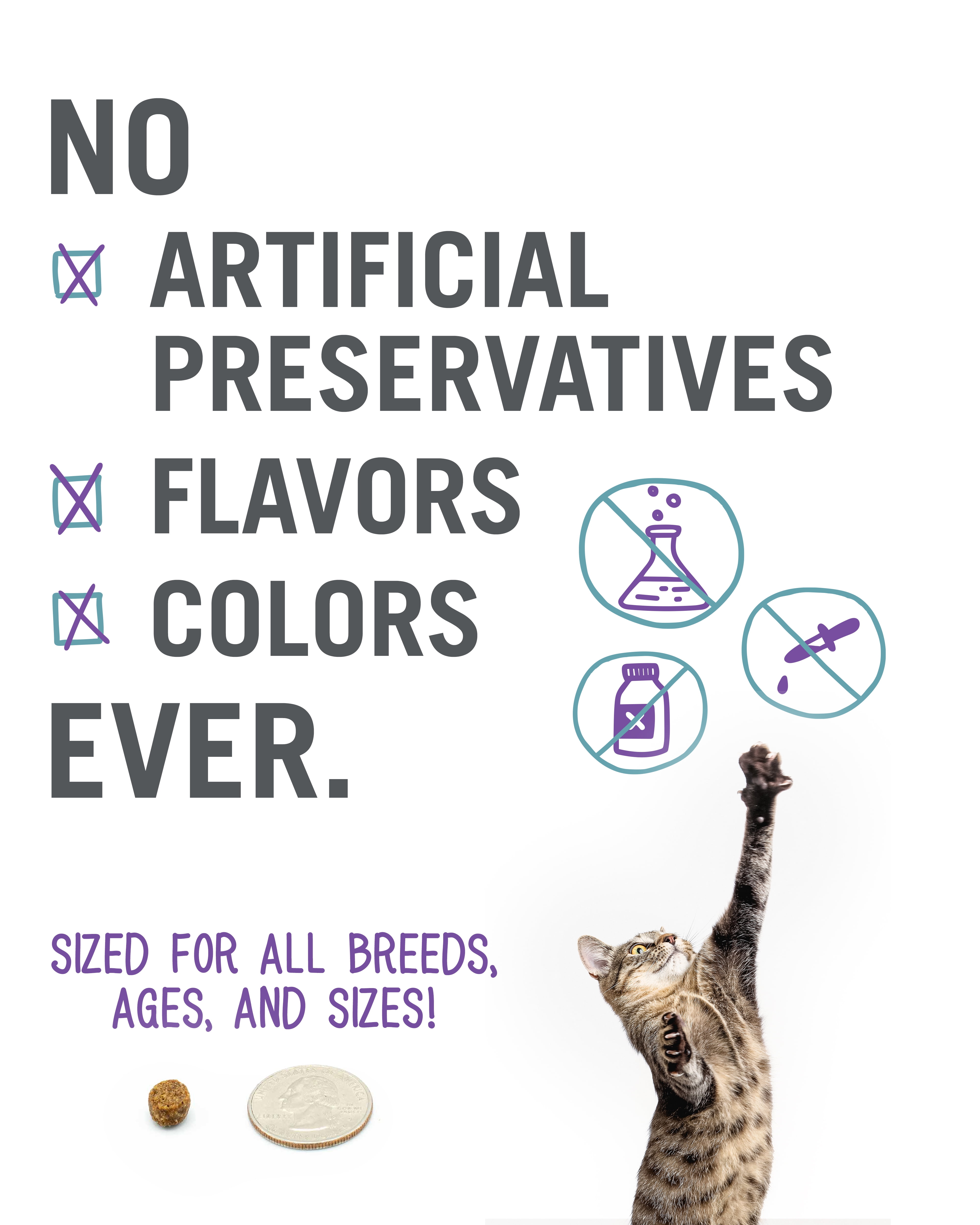 (2 pack) "I and love and you" Naked Essentials Dry Cat Food, Digestive Support Chicken and Pumpkin Recipe, Grain Free, Real Meat, No Fillers, 3.4 lb Bag