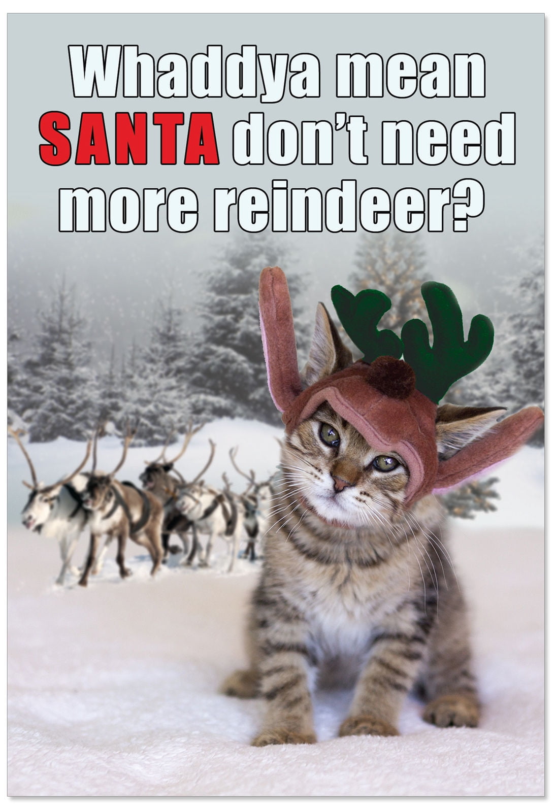 B1959K Box Set of 12 No More Reindeer Blank Christmas Paper Cards w/ Envelopes, NobleWorks