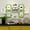 White and Green-(Includes Black Butterfly Sticker), variant on Creative Photo Wall Photo Frame Combination Living Room Hanging Wall Punch-Free Custom Background Decorations