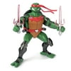 Teenage Mutant Ninja Turtles Basic Action Figure, Raphael