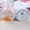 1 roll, variant on U8MO 0.5~1.0mm Jewelry Making Strong Elastic String Crystal Transparent DIY Cord Line-0.5mm~15M-1 roll