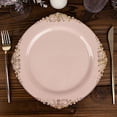 thumbnail image 6 of BalsaCircle 10 Blush Round 10" Disposable Plastic Salad Dinner Plates Gold Embossed Baroque Trim Party Events Decorations, 6 of 8