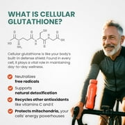 Continual-G Glutathione Precursor Powder Dietary Supplement Immune Support Master Antioxidant Detox 60 Drink Mix Sachets