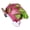 Pink Dragon Fruit, variant on YAHHU Aquarium Resin Decoration Fun Simulation Innovative Landscaping Hideout House for Fish Tank Dragon Fruit Ornament Cave Decor Submersible Aquatic Pet Habitat 7.09 Inches / 18 cm