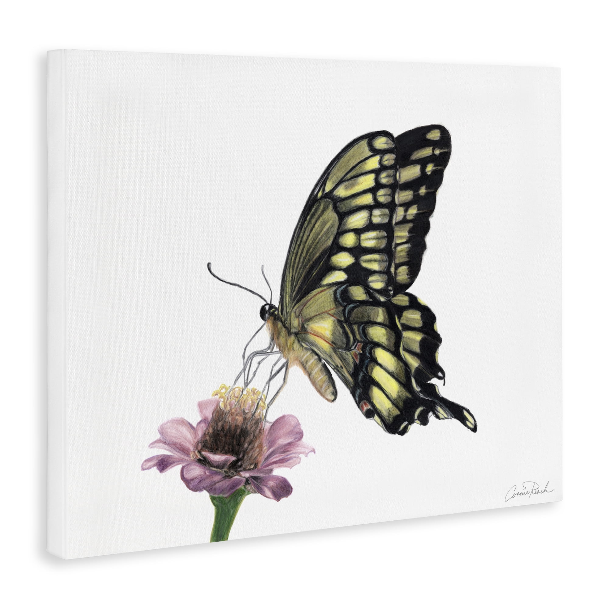 Stupell Industries Minimal Butterfly & Flower Animals & Insects Painting Gallery Wrapped Canvas Art Print Wall Art, 40 x 30