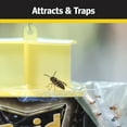 Raid Yellow Jacket, Wasp, & Trap, Disposable Plastic Trap with