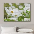thumbnail image 3 of wall26 Canvas Print Wall Art White Daisy Flower Field Countryside Farm Nature Wilderness Wood Panels Modern Art Rustic Decorative Zen Landscape Relax/Calm for Living Room, Bedroom, Office - 12"x, 3 of 5