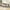 Gray with 2 Drawers, variant on Twin Size Upholstered Daybed with 2 Drawers, Velvet Tufted Sofa bed with Padded Backrest & Arms, Wooden bed Frame with Slats Support for Bedroom,Living Room, Gray
