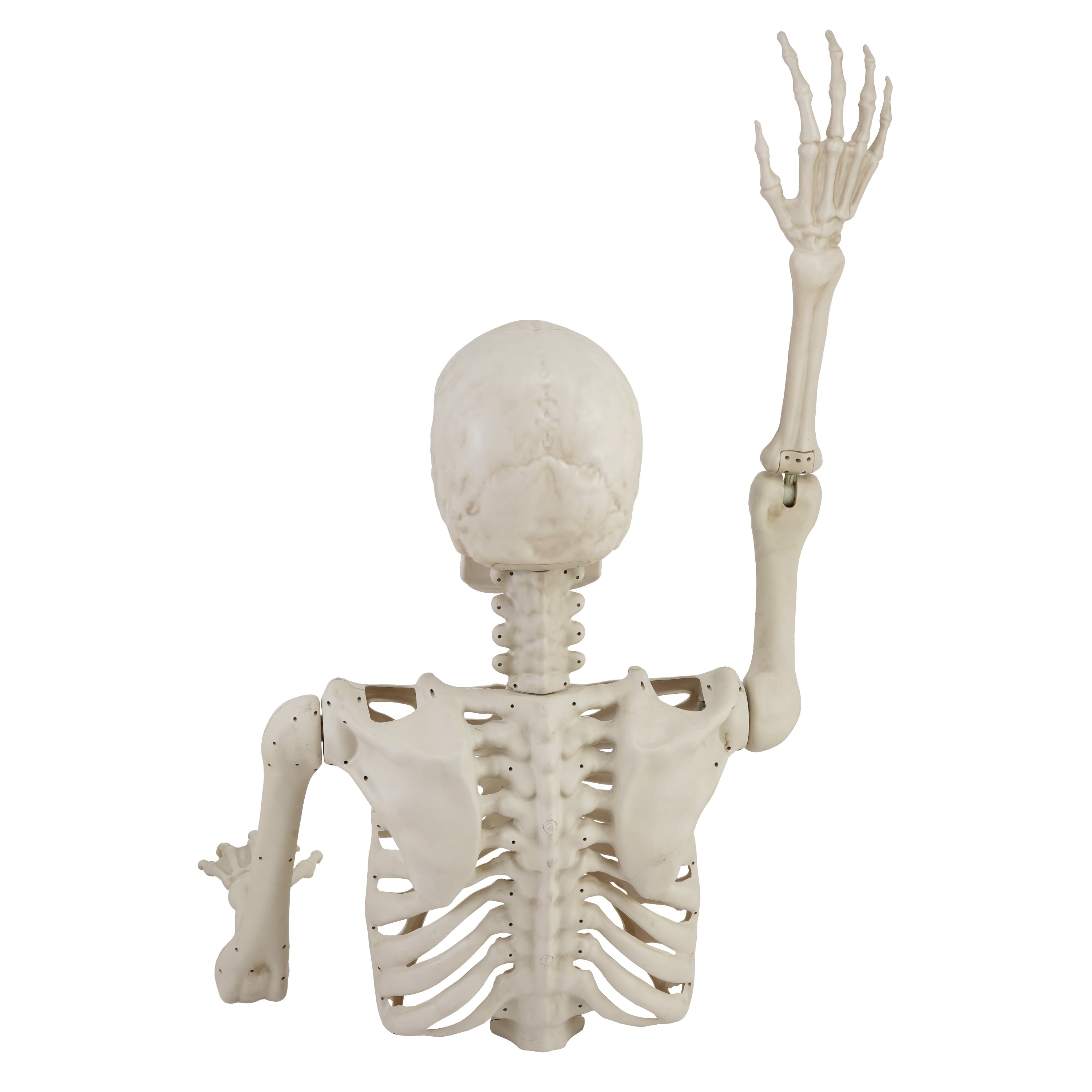 Way To Celebrate Skeleton Groundbreaker Decoration, Ivory, 46 In photo 5