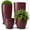 Wine Red, variant on FIASON 4 Pack Tall Planters Set (24/21/12/10 Inch), Wine Red Speckled Glossy Flower Pots with Mesh Filters, Drainage Holes & Saucers, Indoor Outdoor Planters for Front Porch Patio Garden