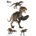 thumbnail image 2 of Advanced Graphics Raptor Layout Wall Decal, 2 of 2