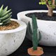 thumbnail image 4 of OHOIOLLA 2Ud Cactus Decorativo Artificial Verde Para Oficina Y Jardín Con Cuidado Fácil Y Acabado Natural, 4 of 8