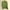 Army Green, variant on Odbmxy V-Neck Womens Oversized Sweater Long Sleeve Women Cardigan Sweater Regular Casual Plain Button up Green Sweaters