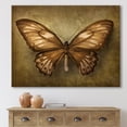 thumbnail image 2 of Designart ' Ancient Butterfly In Earth Tones ' Vintage Canvas Wall Art Print, 2 of 4