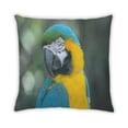 thumbnail image 2 of Ahgly Company Animals Parrot Coussin d'Intérieur, 18 Pouces par 18 Pouces, 2 of 6
