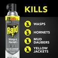 thumbnail image 3 of Raid Wasp & Hornet Killer, Outdoor Flying Insect Spray, 17.5 oz, 3 of 13