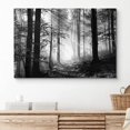 thumbnail image 2 of PixonSign Canvas Print Wall Art Sun Shines On Forest Floor Nature Wilderness Photography Modern Art Contemporary Landscape Dramatic Dark Black and White for Living Room, Bedroom, Office - 32x48, 2 of 5