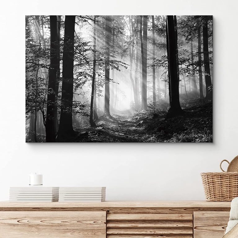 PixonSign Canvas Print Wall Art, Sun Shines On Forest Floor, Black