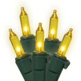 thumbnail image 1 of Vickerman W5G0917 Vickerman 100 Gold Mini-Light on Green Wire 46' Christmas Light Strand -W5G0917, 1 of 1