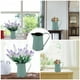 thumbnail image 5 of EeaseMX Jarrón vintage para plantas, maceta antigua de metal, decoración, 5 of 7