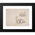 thumbnail image 2 of Samuel Daniell 18x15 Black Modern Framed Museum Art Print Titled - Studies of Young Pallah Deer Resting (ca. 1802), 2 of 5