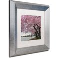 thumbnail image 2 of Trademark Fine Art "Tidal Basin Blossoms" Canvas Art by CATeyes, White Matte, Silver Frame, 2 of 4