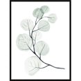 thumbnail image 1 of 25 x 19 Po. Impression d'Art Encadrée Dollars Argentés, 1 of 1