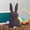 Gray, variant on Deeceymbur Rabbits Pillow Easter Bunny 13.78x7.87x1.18in Lamb's Wool Polyester Cute Toy Sofa Decor Gift