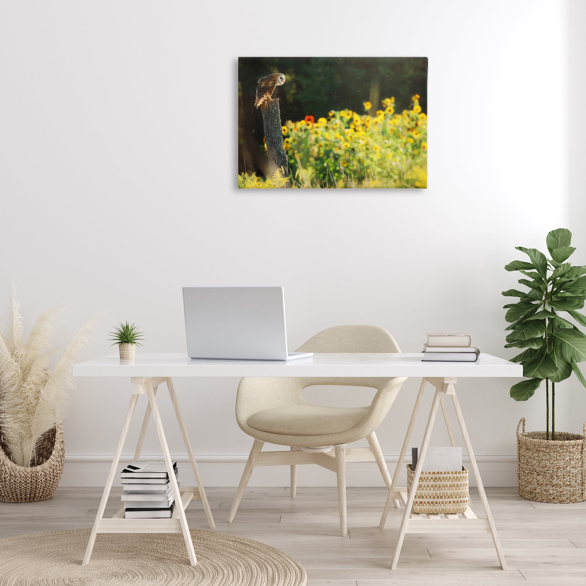 Stupell Industries Owl Perched in Meadow Landscape Photography Gallery Wrapped Canvas Art Print Wall Art, 30 x 20