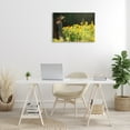 thumbnail image 3 of Stupell Industries Owl Perched in Meadow Landscape Photography Gallery Wrapped Canvas Art Print Wall Art, 30 x 20, 3 of 8