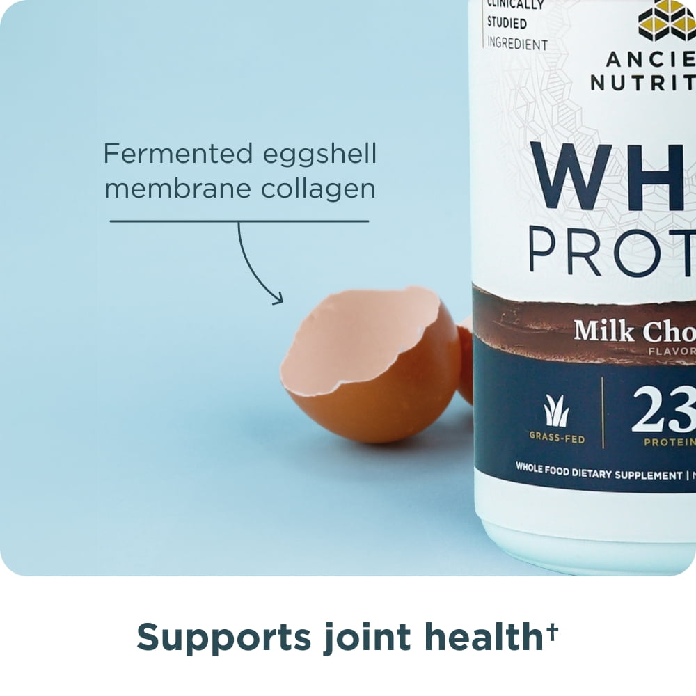 Ancient Nutrition Grass Fed Whey Protein, Milk Chocolate, 23g Protein, 20 Servings, Hydrolyzed Collagen Peptides, Organic Regenerative A2/A2 Milk Protein