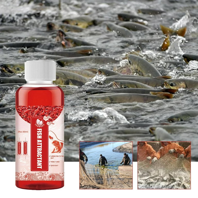 Fish Attractant Liquid - High Concentration Red Worm Fish Bait Attractant  Enhancer  60ml Flavoured Fishing Bait Additive Fishing Baits Deep Sea  Fishing Bait Broad-Spectrum Baits Fast and Safe Frifer : 