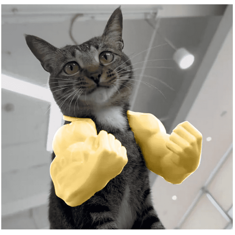 Cat Muscle Arms, 3D Printed Creative Cat's Muscle Arms Decorate