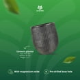 thumbnail image 3 of Worth 14.5" Round Planter, Lightweight Magnesium Oxide Cement Plant Pot, Black, 3 of 10