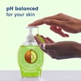 thumbnail image 5 of Softsoap Limited Edition Liquid Hand Soap, Kiwi Scent, 7.5 fl oz Pump Bottle, 5 of 13