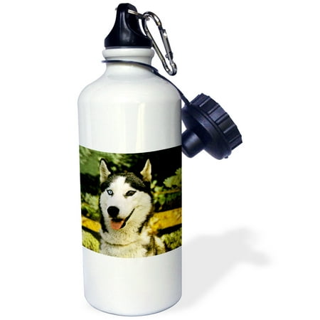 

3dRose Siberian Husky Sports Water Bottle 21oz