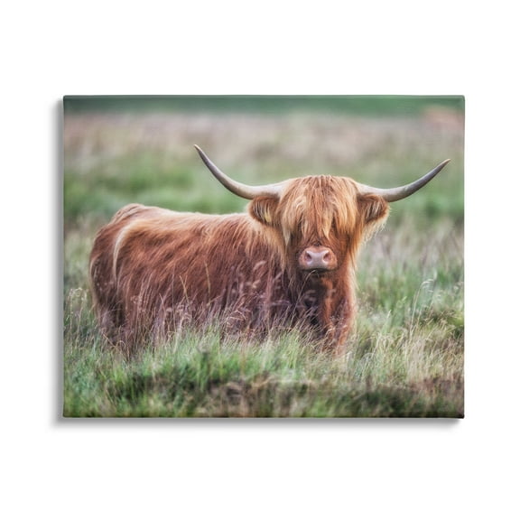 Stupell Industries Highland Longhorn Cattle Grazing Rural Countryside Grassland Photograph Gallery Wrapped Canvas Print Wall Art, Design by James Dobson