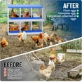 thumbnail image 6 of Chicken Nesting Box 6/8/10 Compartment Galvanized Steel Chicken Laying Boxes, Nesting Boxes for Chickens, Easy Egg Collection for Chicken Coop, Backyard, Farms, 6 of 9