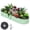 Oval shape, 8*2*1FT, olive green., variant on Heavy Duty Metal Raised Garden Bed – 8x2x1FT Oval Planter Box for Outdoor Vegetable, Flower, Herb Gardening, for Garden & Backyard & Patio, Olive Green