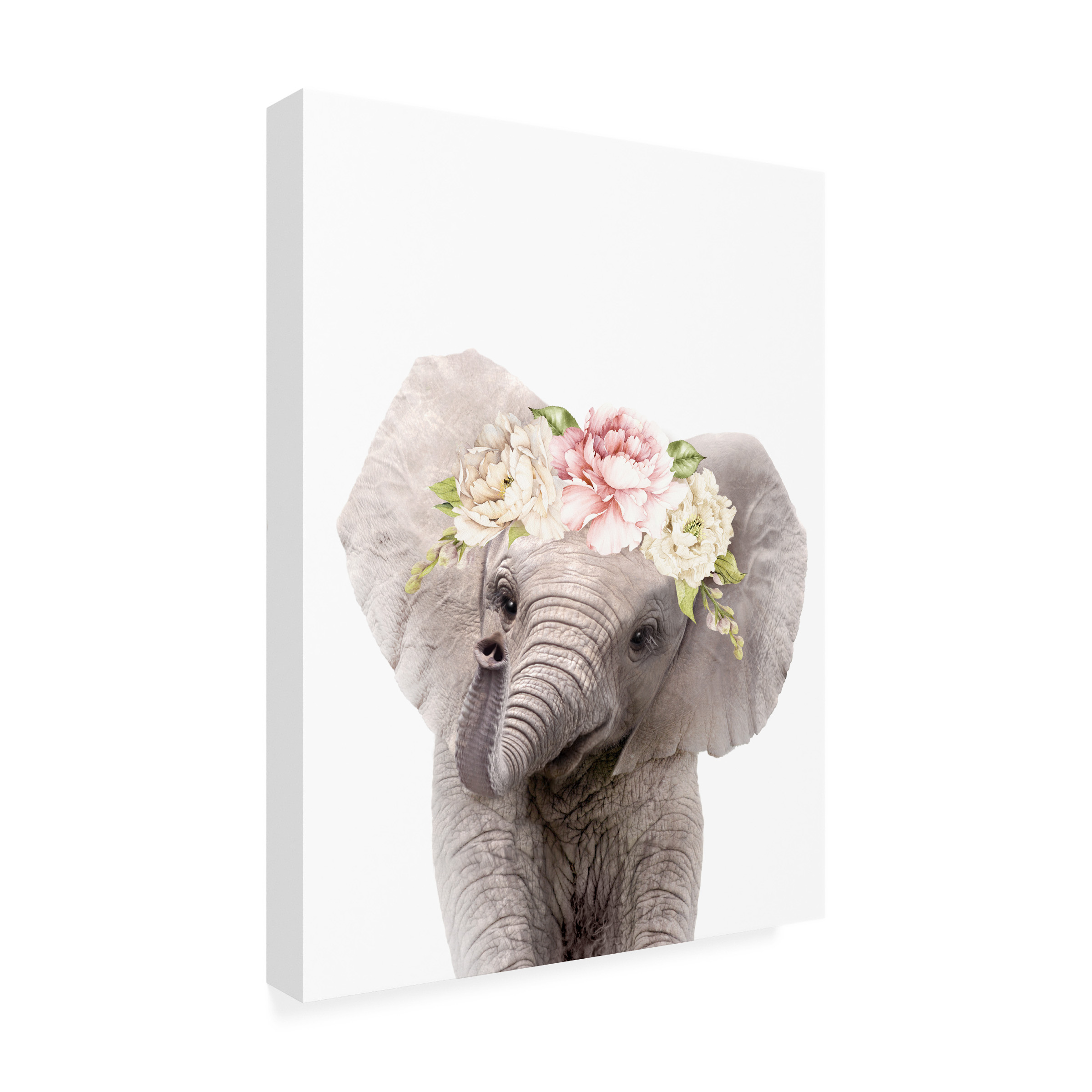 Lola Peacock 'Floral Baby Elephant' Canvas Art