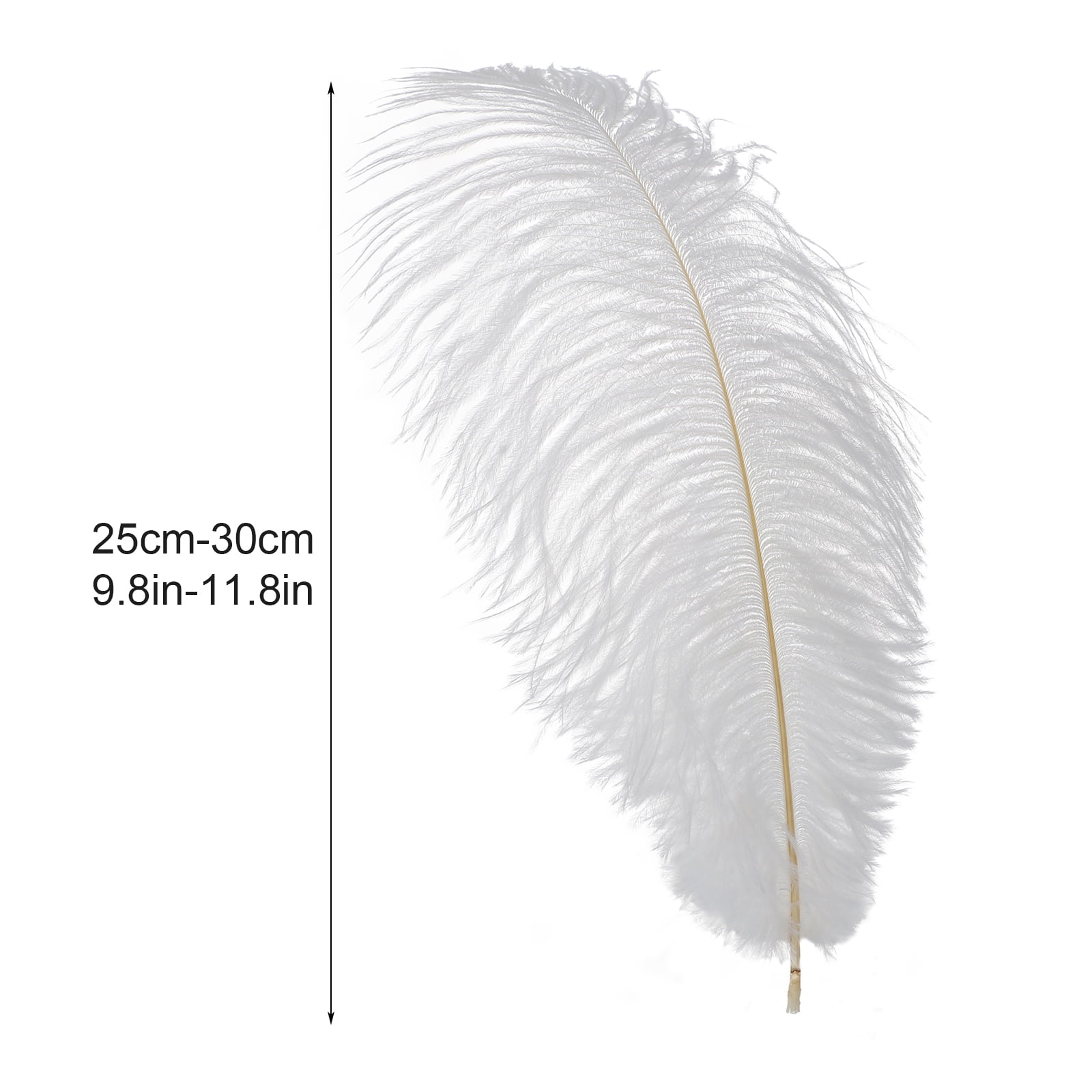10500pcs White Ostrich Feathers for Crafts Wedding Party Centerpieces Home  Decoration Supplies Decorative Feathers Craft Supplies and Tools 