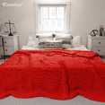 thumbnail image 5 of Comtest Chunky Knit Throw Blanket Chenille, Red, 71"x80"(Queen Size), 5 of 7