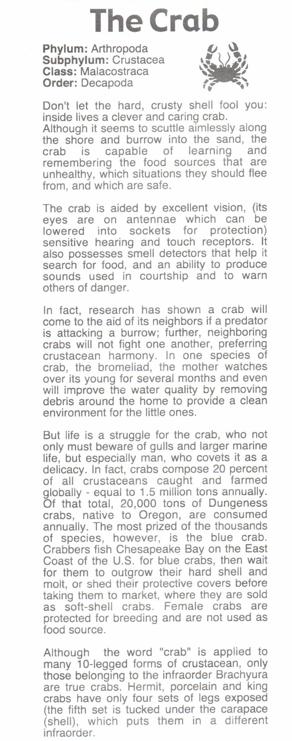Crab Dice Game
